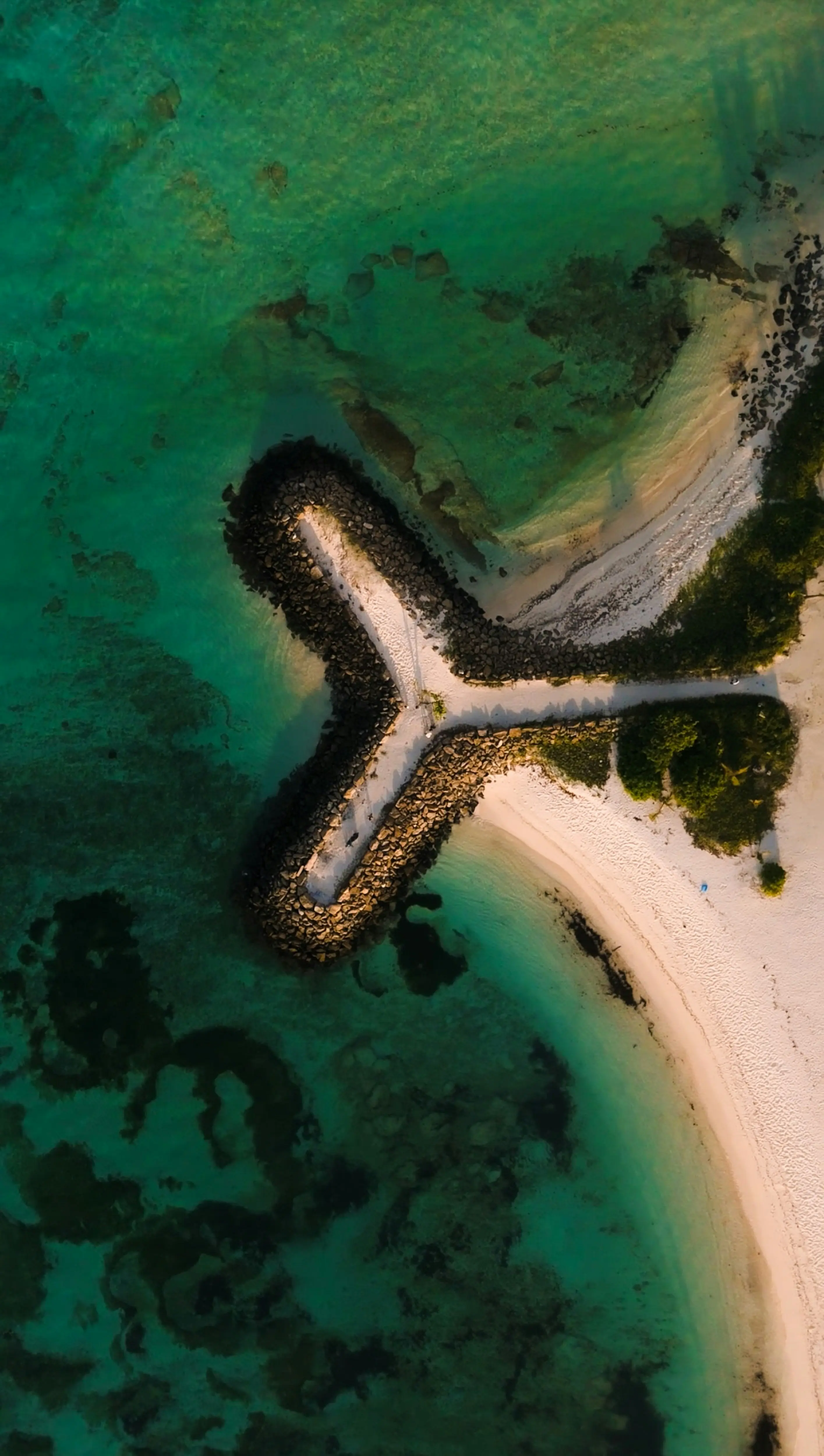 A beach and breakwater on Maafushi, seen from above