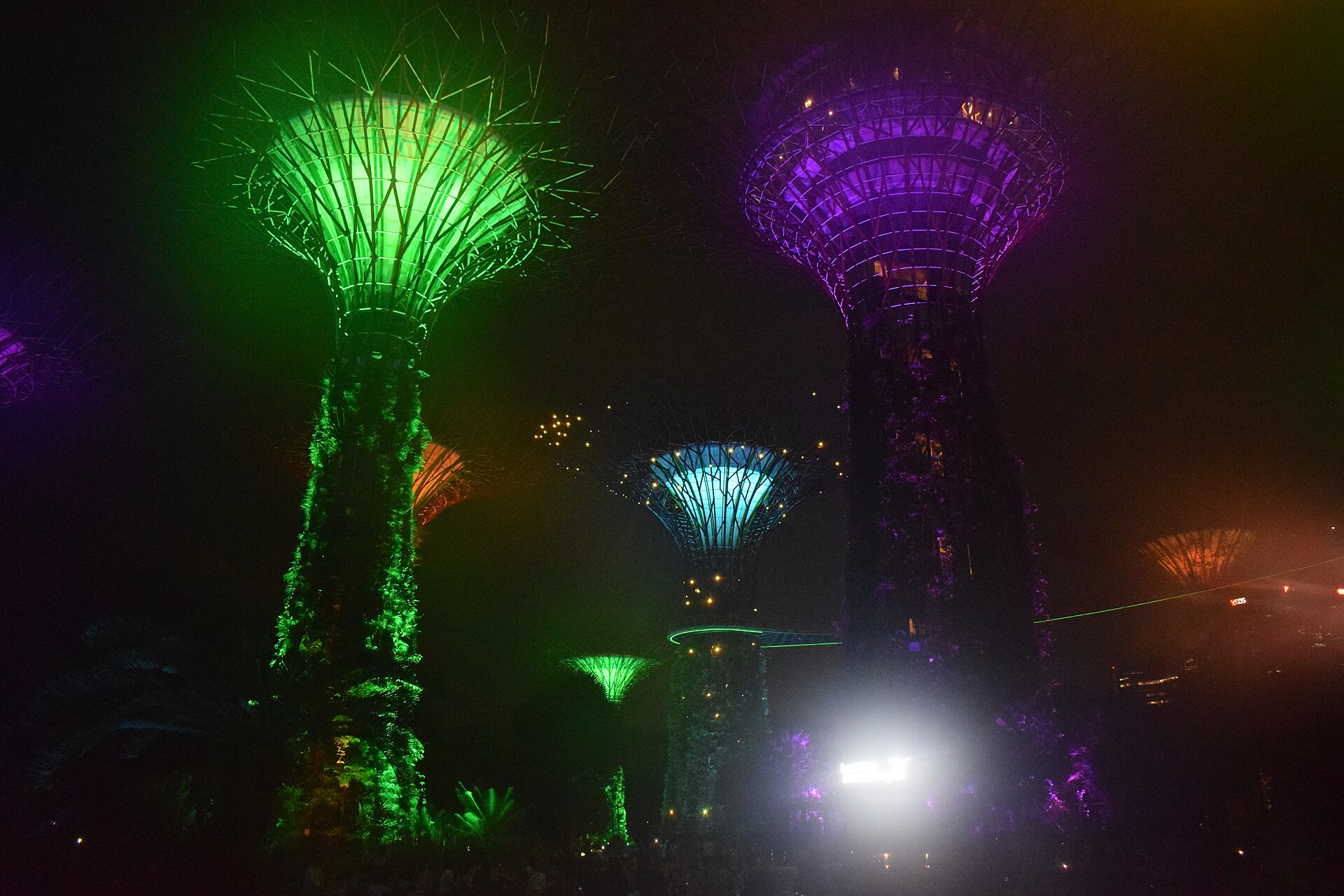 The Supertrees lit green, purple and blue during the evening light show at Gardens by the Bay
